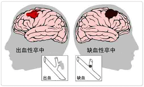 图片 4.png